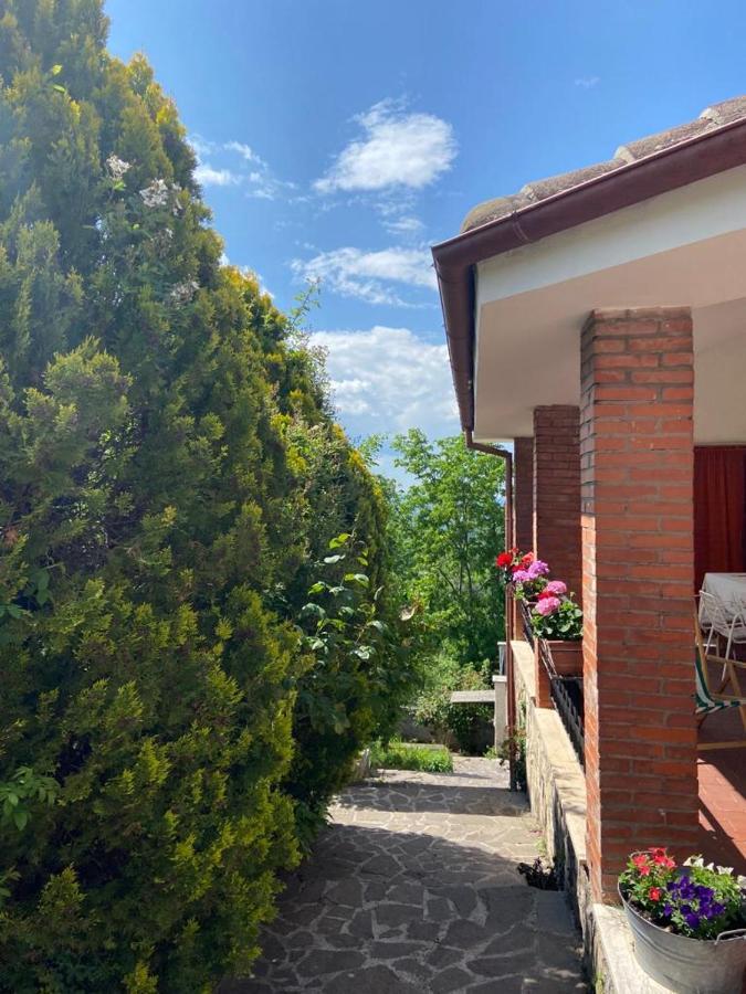 La Stella Danzante B&B Camerata Vecchia Kültér fotó