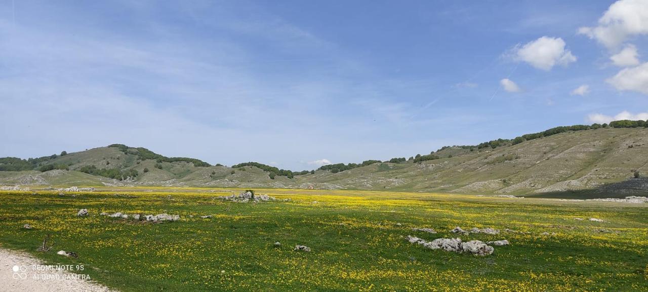 La Stella Danzante B&B Camerata Vecchia Kültér fotó