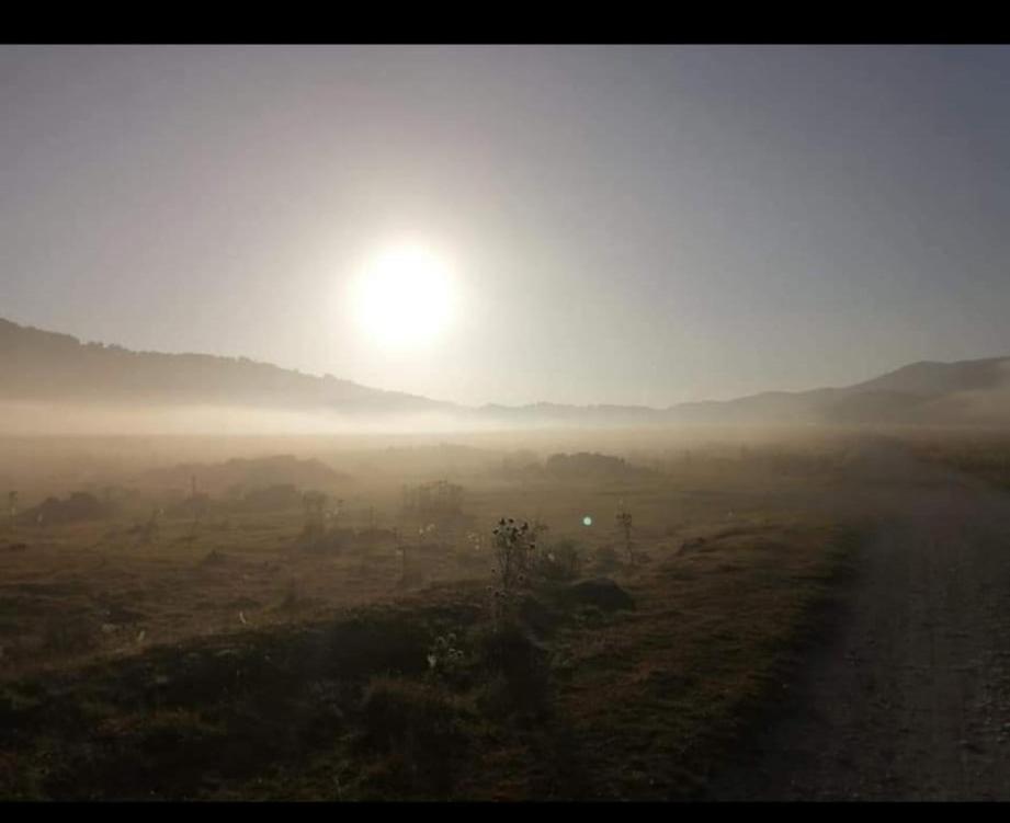 La Stella Danzante B&B Camerata Vecchia Kültér fotó